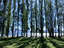 wanaka (45)